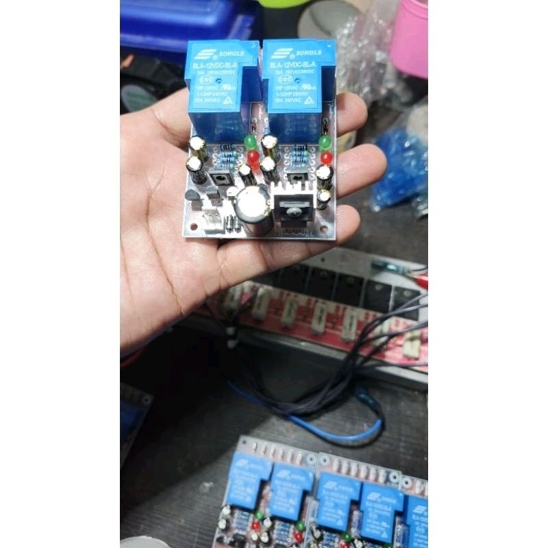 speaker protector stereo