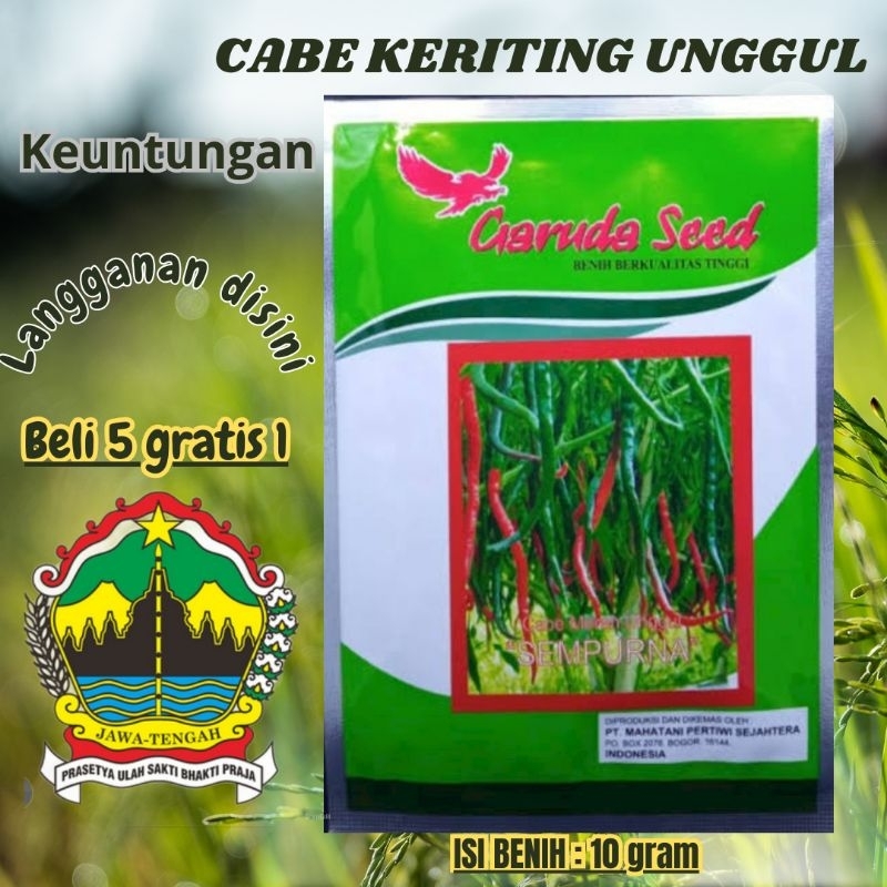 benih cabe keriting unggul asli kemasan pabrik  Garuda seed
