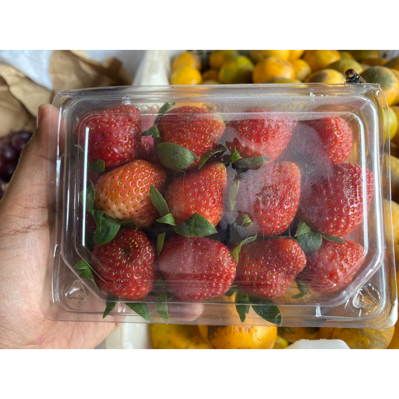 

READY STOK stawberry fressh segar
