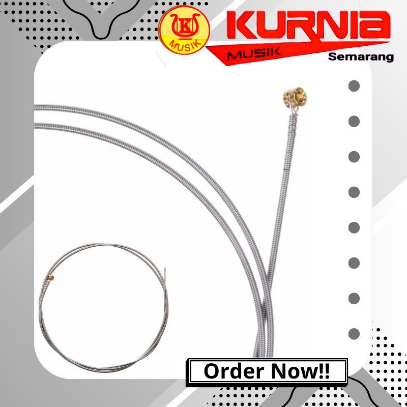 Ernieball Senar Polos / Senar Gitar Elektrik Ernieball Eceran