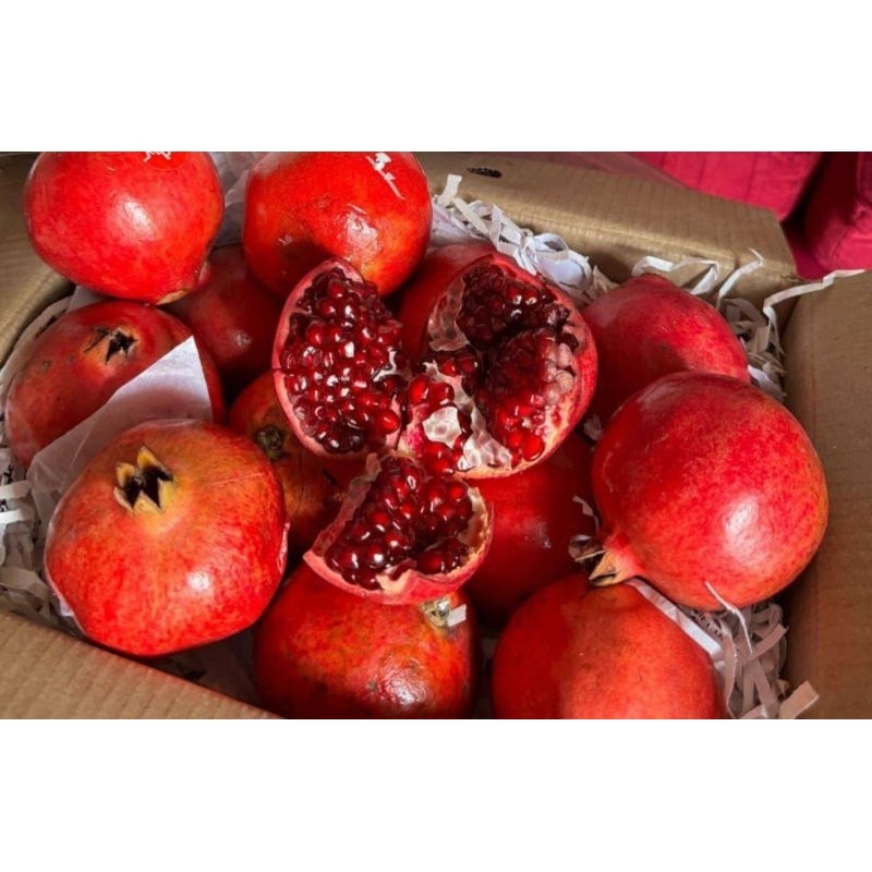 

DELIMA PREMIUM POMEGRANATES INDIA [BERAT 220 GR]