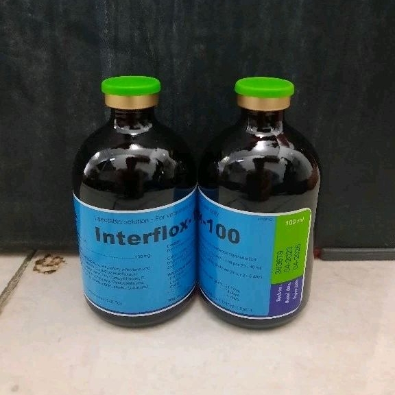 Interflox-100 enrofloxacine injeksi untuk CRD coryza snot ayam sapi kambing