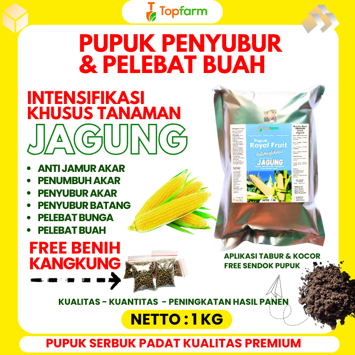 Pupuk Jagung Terbaik / Pupuk Jagung Masa Pertumbuhan / Pupuk Jagung Umur 3 Minggu / Pupuk Jagung Kom