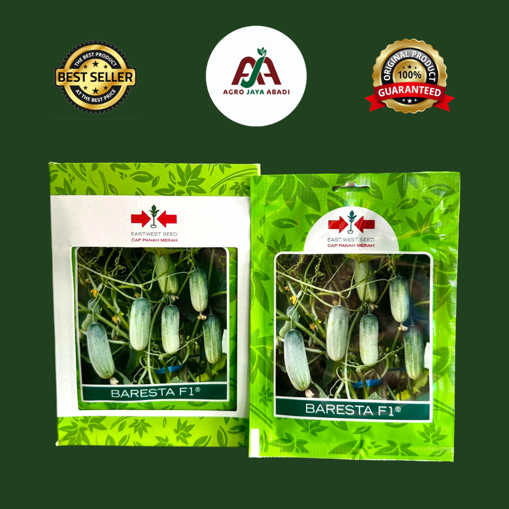 (175 butir) Bibit BABY MENTIMUN TIMUN BARESTA F1 SP 175s Cap Panah Merah