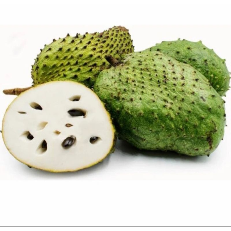 

Buah sirsak Segar - 1 Kilogram