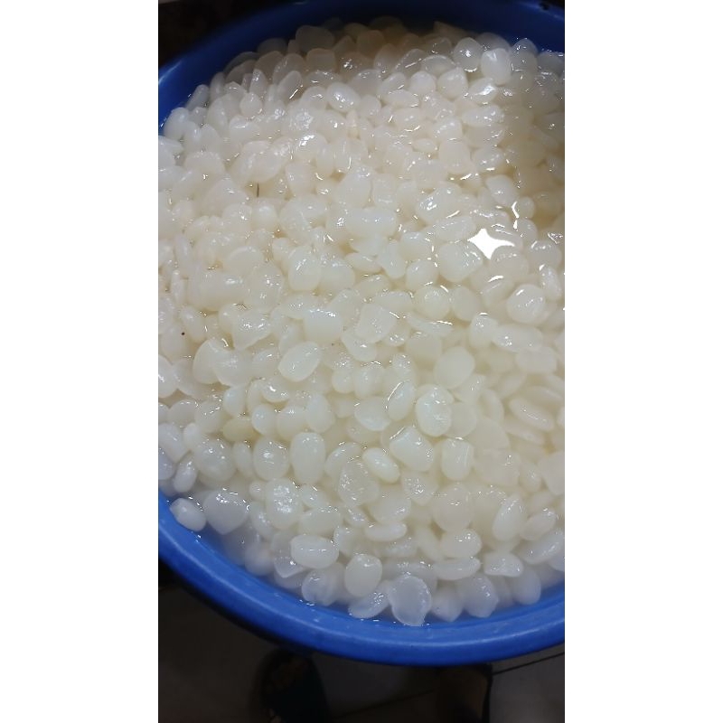 

buah atap/kulang kaling ukuran besar2 1kg