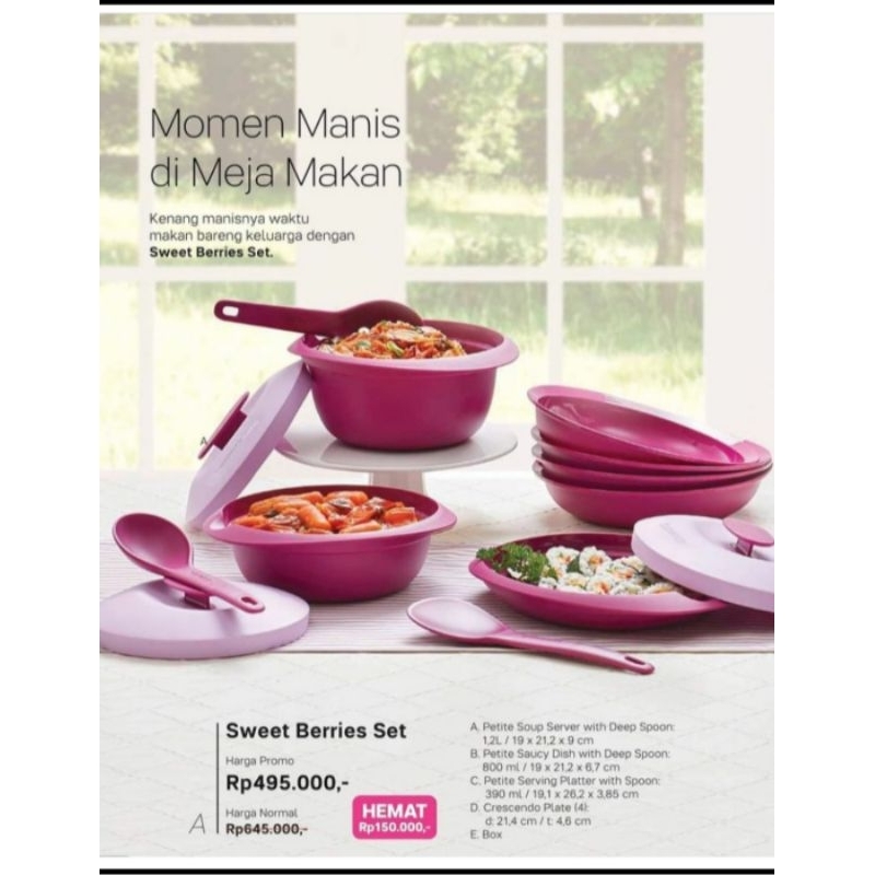 Sweet berries set pink tupperware
