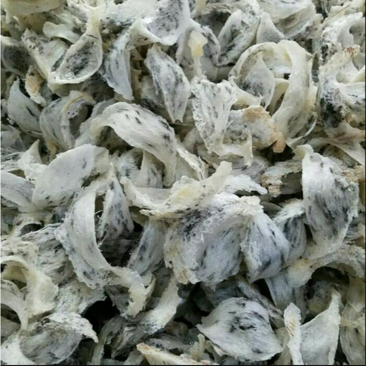 

*Sarang Burung Walet Mangkok Yenwo Asli Kalimantan Utara