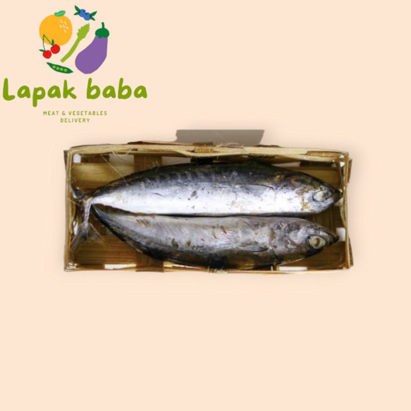 

IKAN CUE 1 EKOR / IKAN KUE 1 KERANJANG SIAP KIRIM