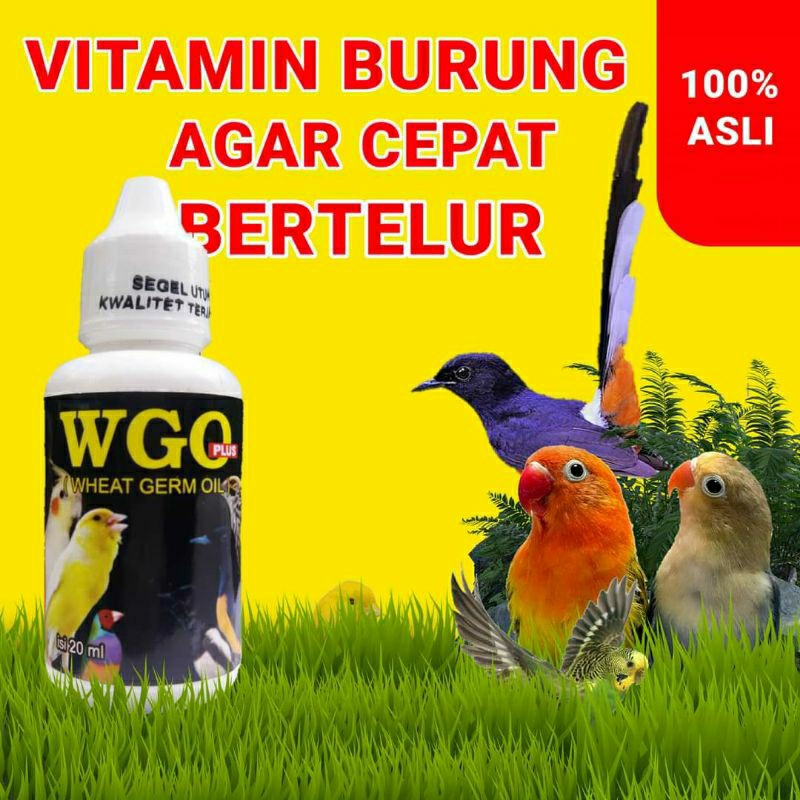 WGO vitamin Murai Ternak, Lovebird, Kenari, Suplemen Burung, Vitamin Agar Lovebird Cepat bertelur
