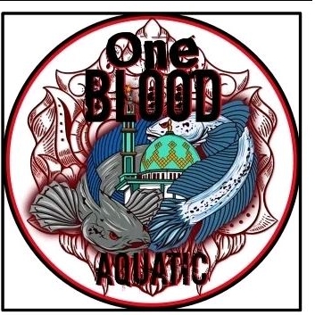 male/female andrao WC