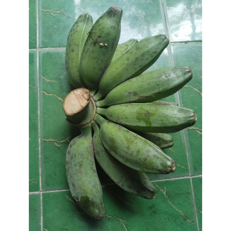 

1 sisir pisang kepok merah Australia tua jumbo.