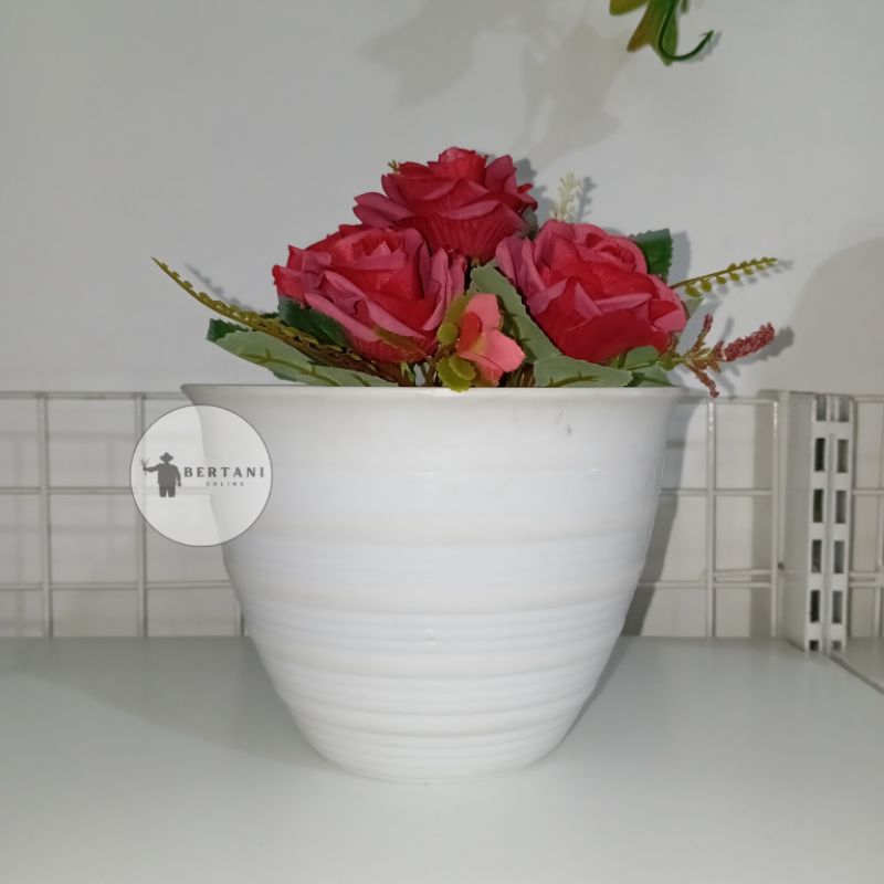 Pot Keong Putih Ukuran 18 AKG