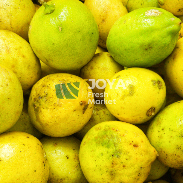 

Joya Fresh - Lemon Lokal Segar/Jeruk Lemon Fresh