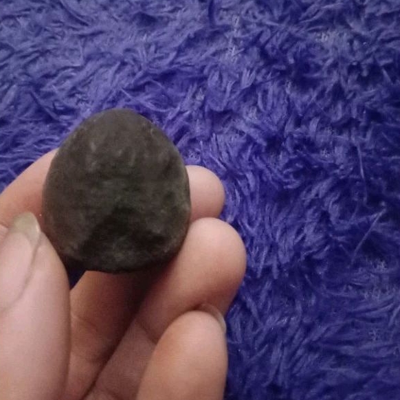 muncang adu panjangan pedang siap pale sudah di cuka