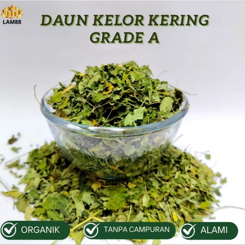 

Daun kelor moringa kering Teh daun kelor organic