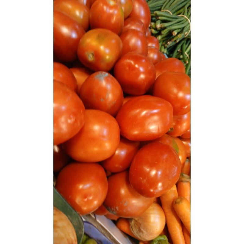 

tomat merah 300grm