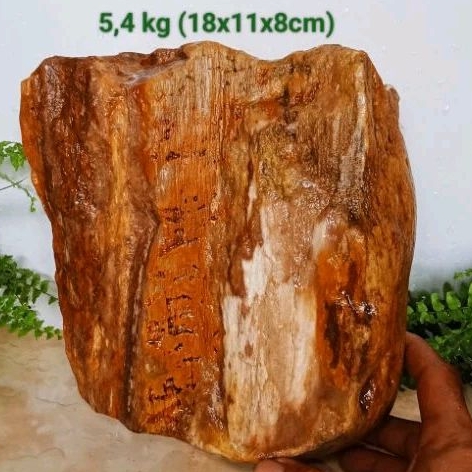 batu galih kelor kristal (508)