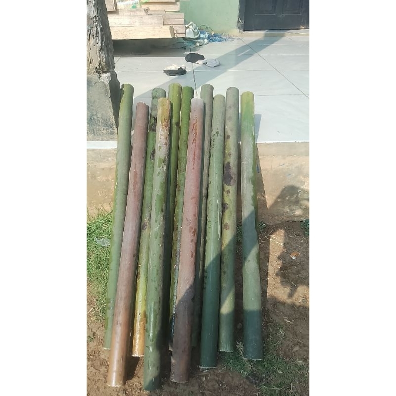 Bambu tamiang bahan layangan seot gabrug