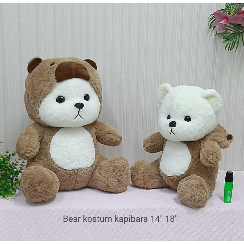 Boneka Bear Kostum Kapibara / Boneka Kostum Kapibara