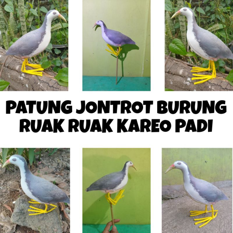 Patung Jontrot Burung Ruak Ruak/Patung Burung Kareo Padi