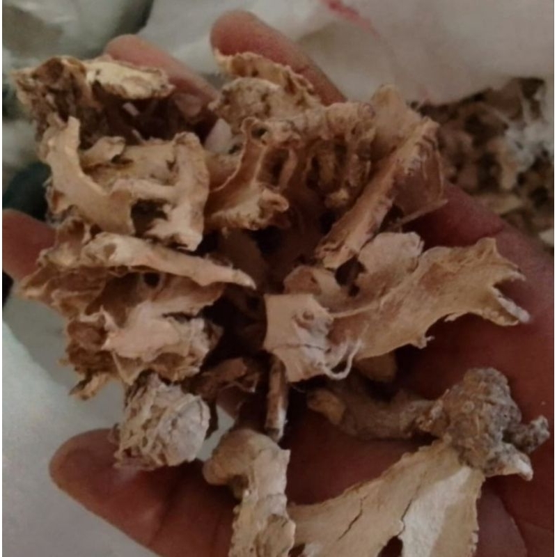 

Lempuyang kering 1 kg / 500gram kwalitas premium