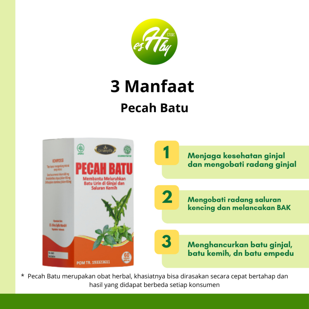 

PECAH BATU - Obat Herbal Alami, Peluruh Batu Ginjal & Empedu, Original BPOM