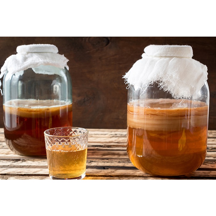 

KOMBUCHA MINUMAN SEHAT UNTUK PENCERNAAN TINGGI PROBIOTIK 750ML