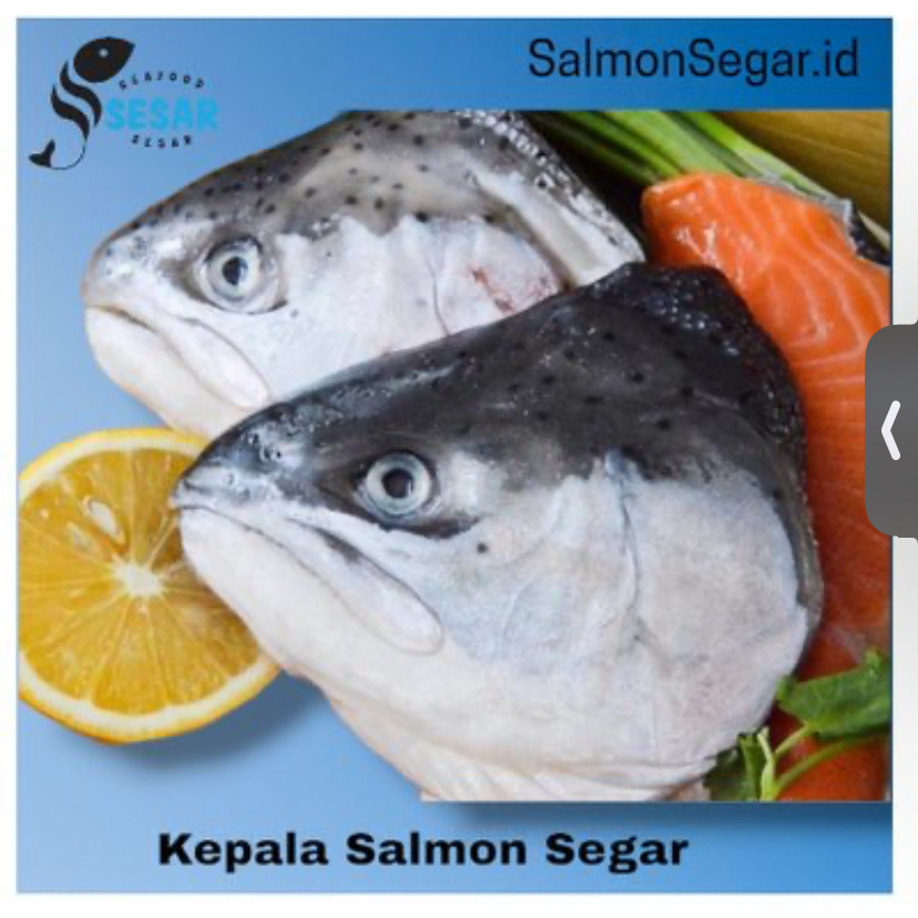 

Kepala Salmon Segar