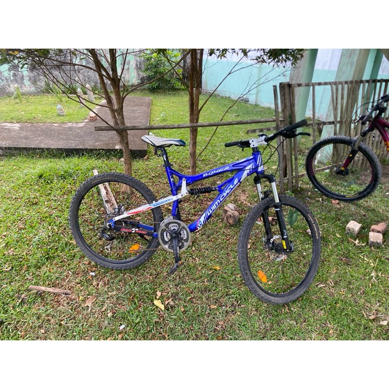 Wimcycle boxxer 1.0 M 26” 2nd