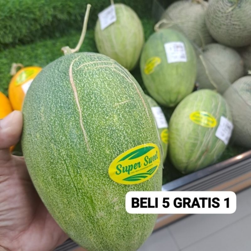 50 Benih Bibit Biji Melon SWEET RED MIDORI, OVAL, Premium import Hibrida Seeds, Super Manis