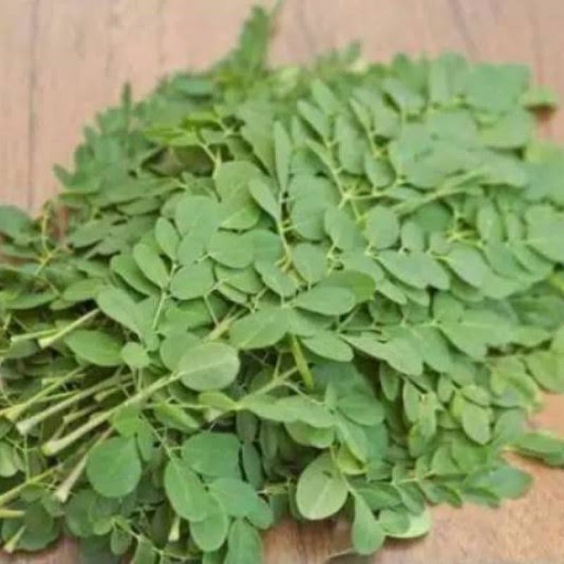 

Sayur Daun Kelor Segar Pasar Murah Makassar