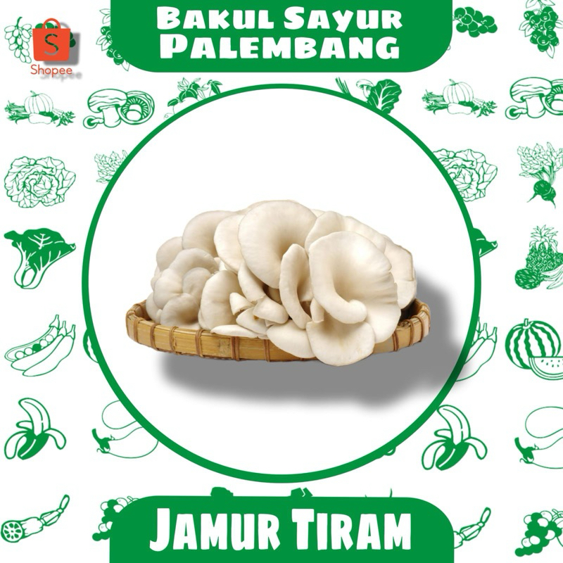 

Jamur Tiram (PALEMBANG)