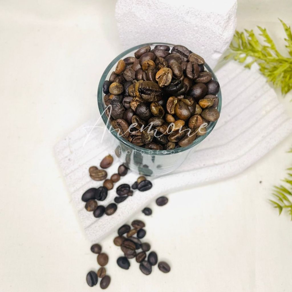 BIJI KOPI HITAM/ BIJI KOPI AKSESORIS FOTO/ BIJI KOPI ROBUSTA