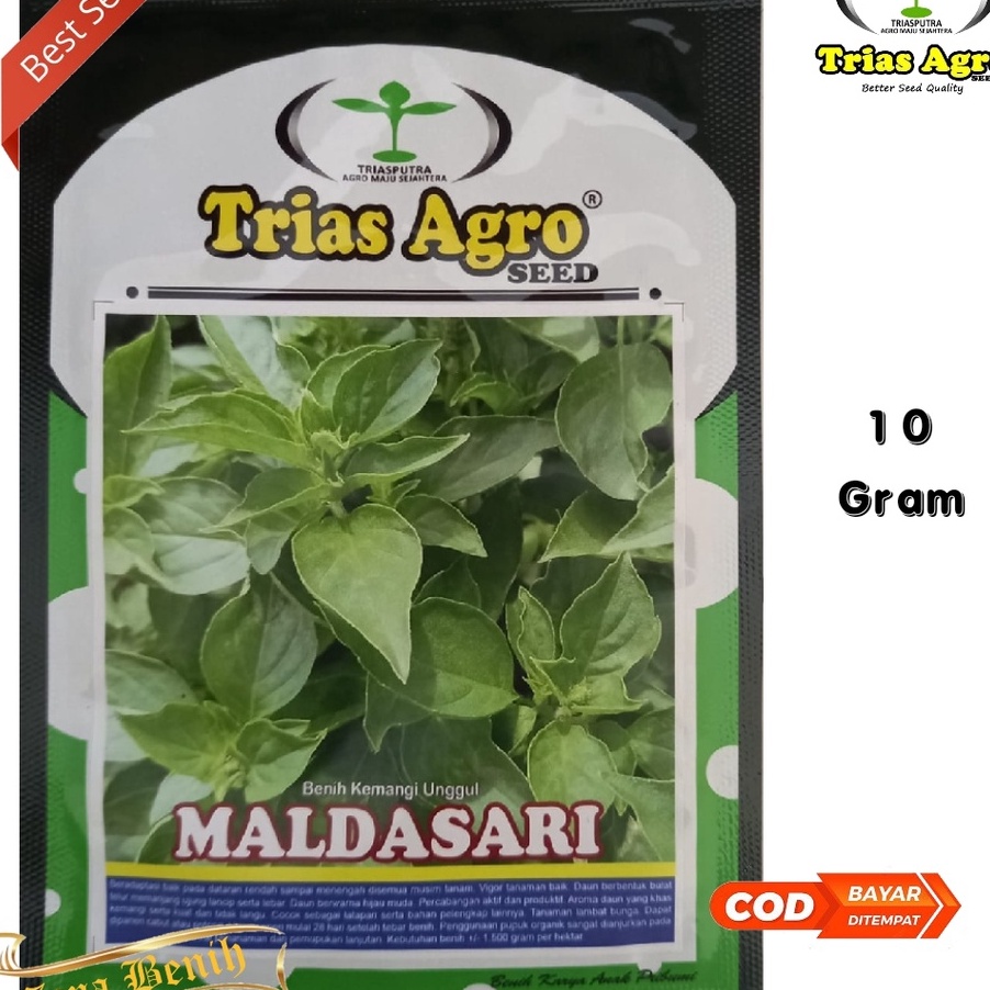 Khusus Isi 1 Gram Bibit Kemangi MALDASARI  Benih Kemangi  Bibit Sayuran  Bibit