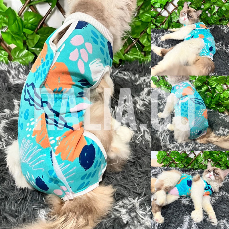 BAJU STERIL KUCING PASCA OPERASI BAJU STERIL KUCING BAJU OPERASI KUCING