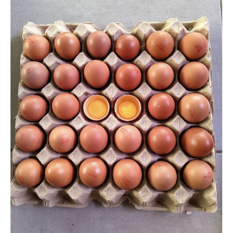 

Telur ayam negri Fresh. Super Quality kecil isi per KG