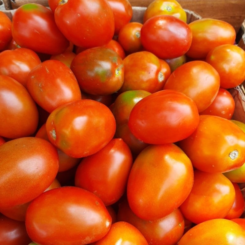 

Tomat Super 500 gram fresh