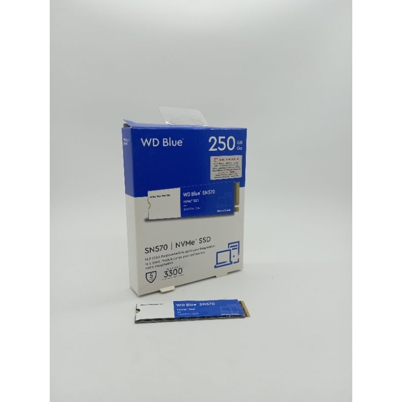 SSD NVME WD BLUE SN570 250 GB