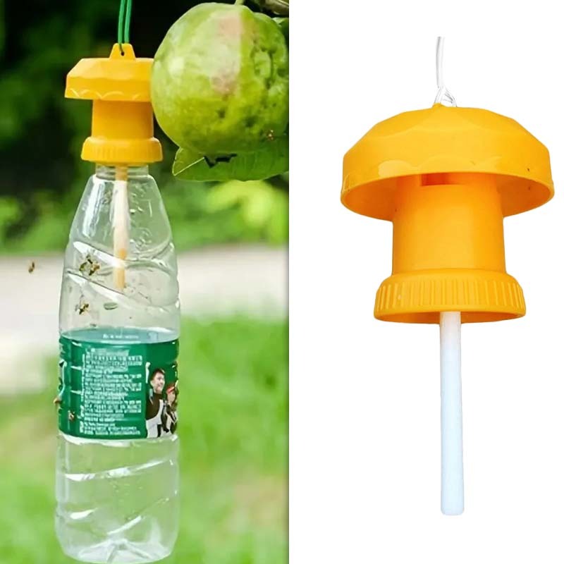 Perangkap Lalat Buah Yellow Trap Universal Insek Lalat Buah Kuning Insek Lalat Buah Fruit Fly Trap