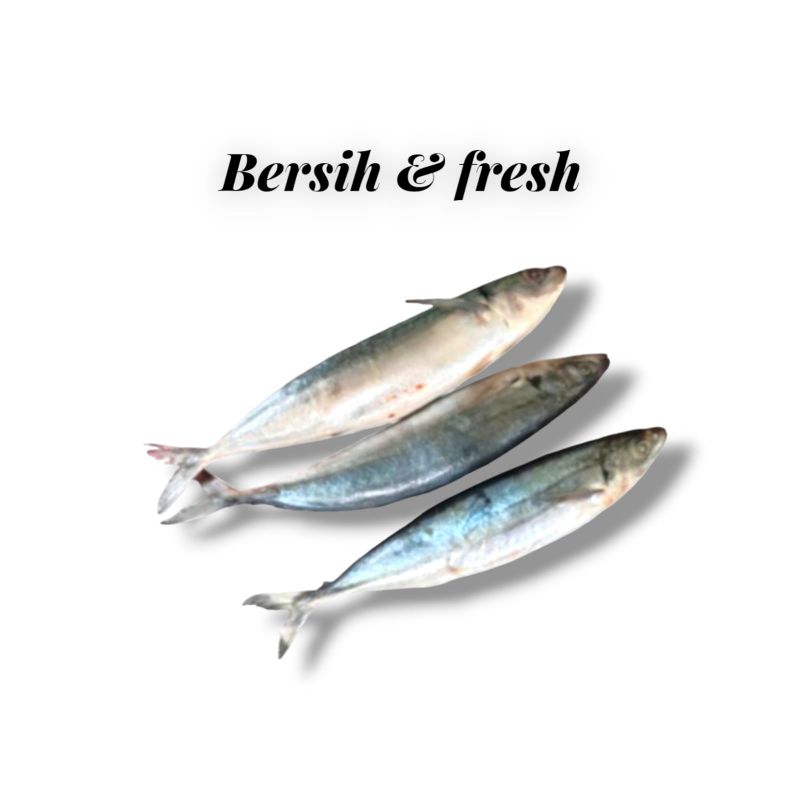 

Ikan Sarden 500 Gram Palembang