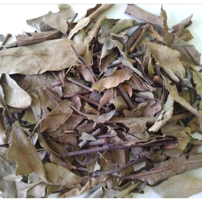 

Teh Benalu Kering Asli Murni Herbal untuk Kesehatan