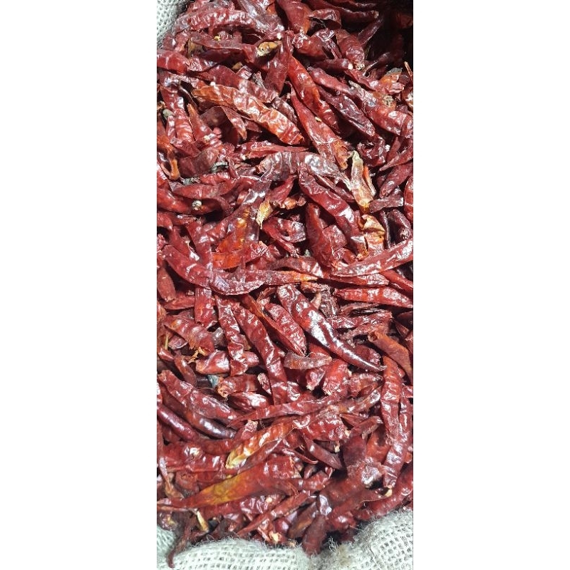 

cabe rawit / tj penganti cb rawit mahal