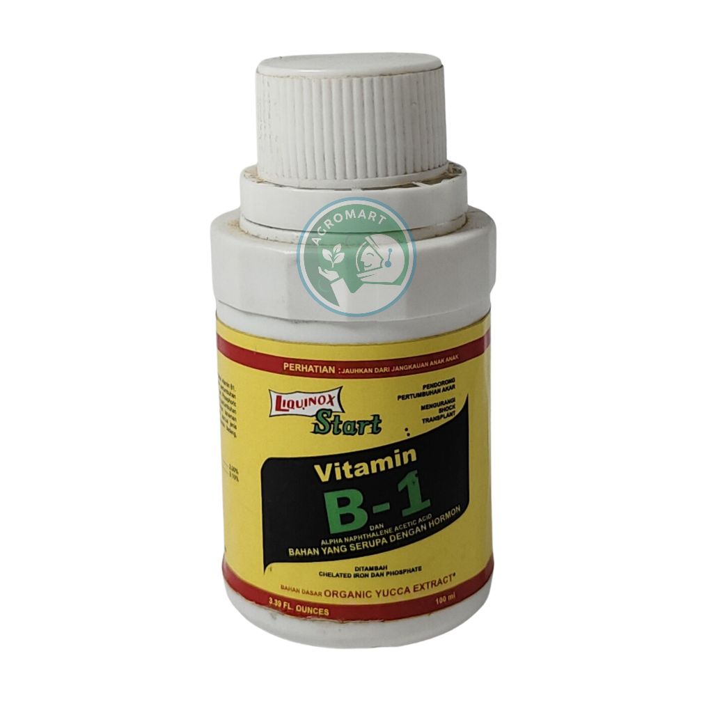 Vitamin B1 Start Kuning 100 ml