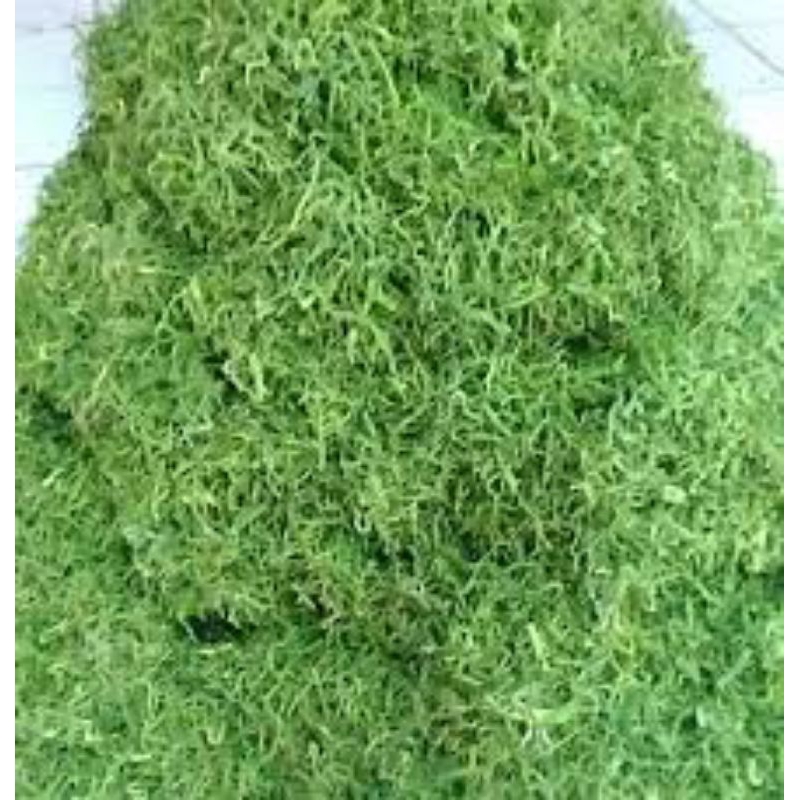 

Daun pandan iris 1/2 Kg