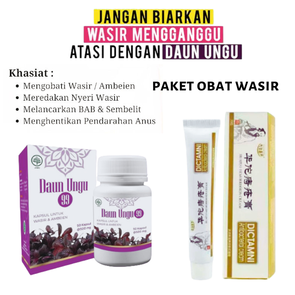 Paket Obat Wasir Ambeien Hemoroid DAUN UNGU DAN SALEP DICTAMNI Asli Original