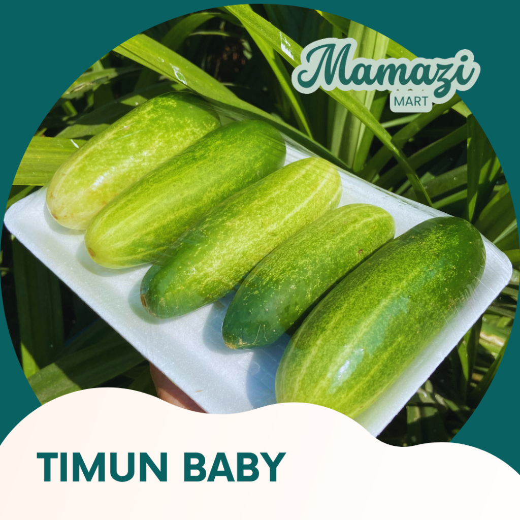 

MamaziMart - TIMUN SAYUR SEGAR TIMUN BUAH MENTIMUN TIMUN BABY