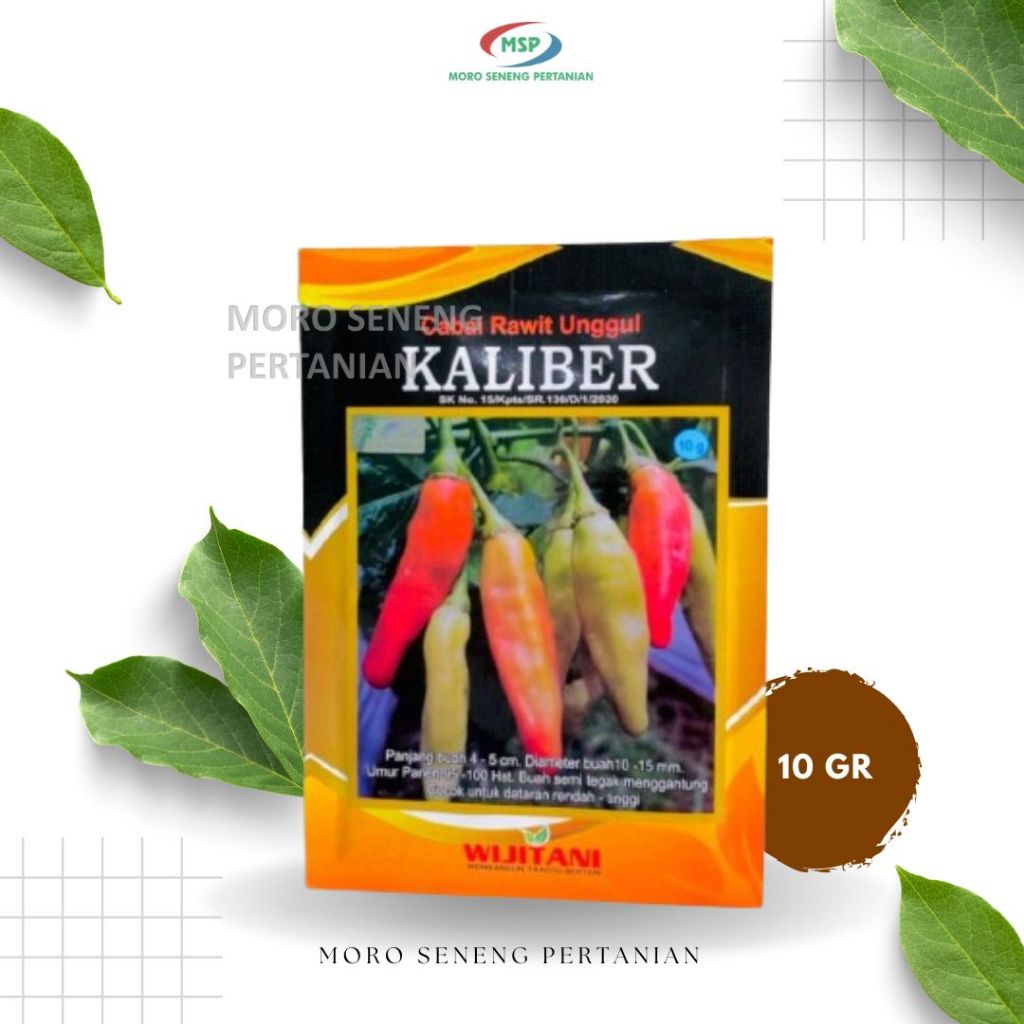 BENIH CABE KALIBER 10 GRAM