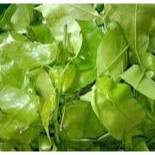 

Daun Melinjo/So 100 gr