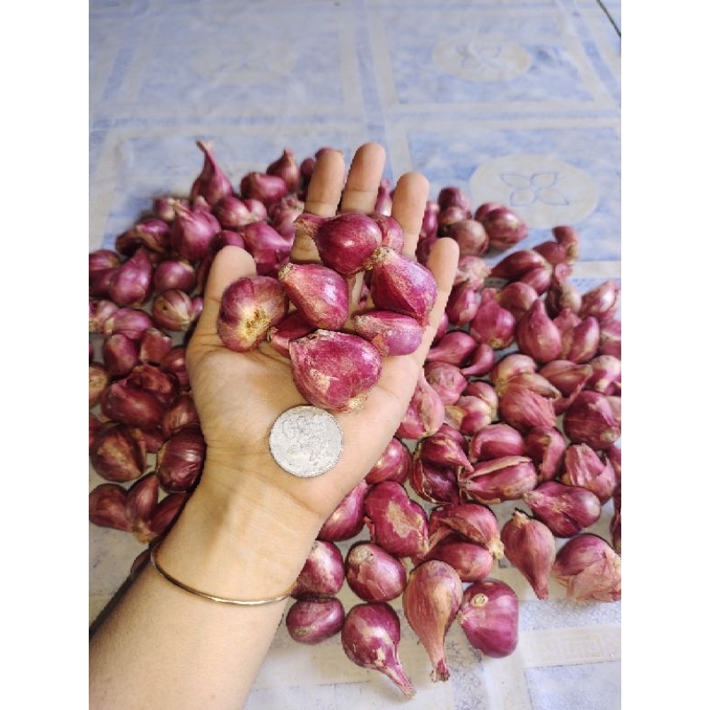 

Bawang merah 1kg super harga murah
